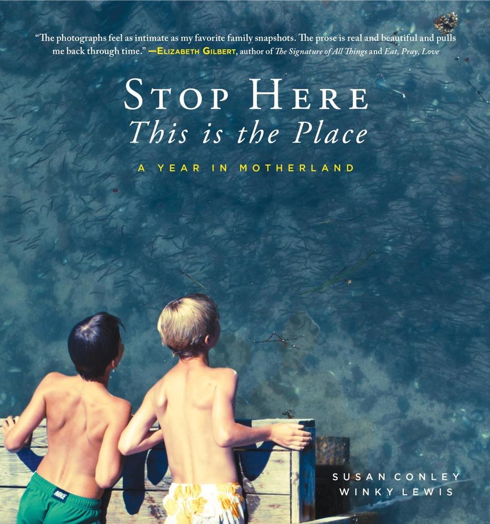 Produktbild: Stop Here, This is the Place | Susan Conley