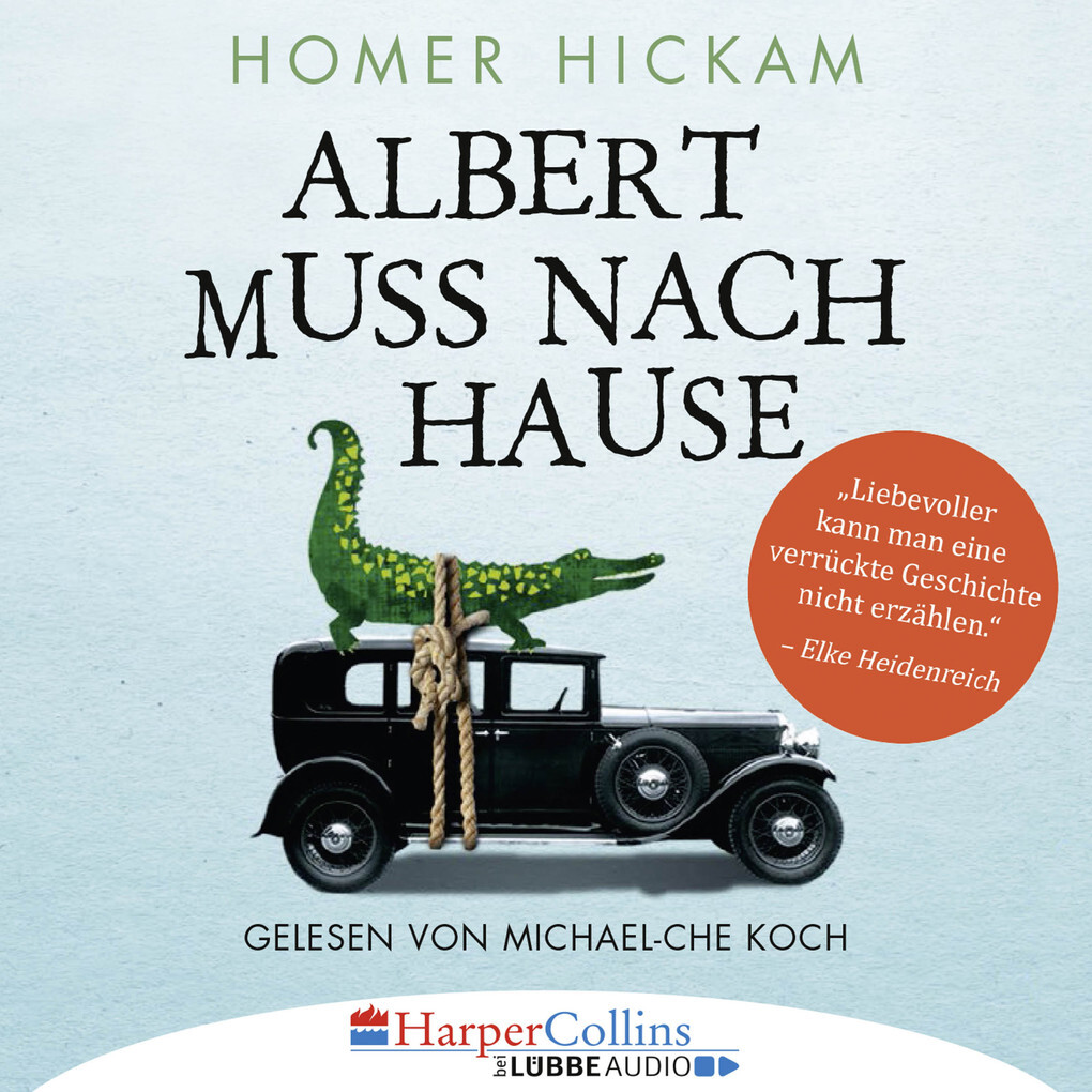 Albert Muss Nach Hause Leseprobe