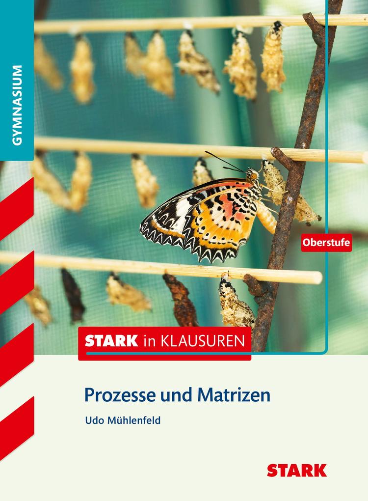 Produktbild: Stark in Mathematik - Prozesse und Matrizen Oberstufe | Udo Mühlenfeld