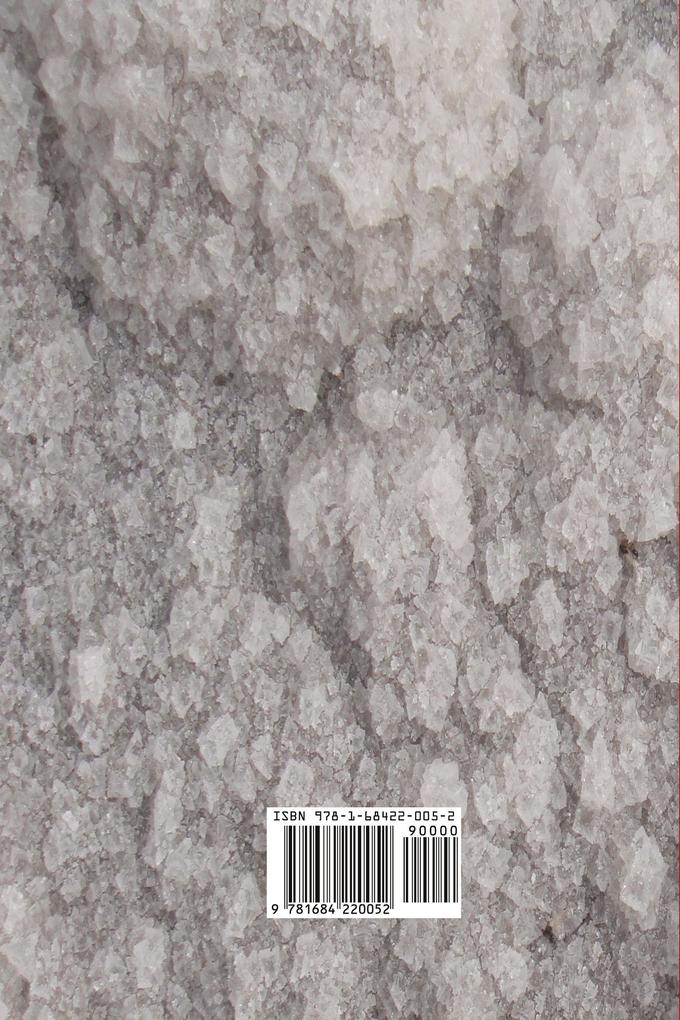 Weitere Ansicht: The Price of Salt | Patricia Highsmith, Claire Morgan