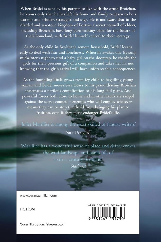 Weitere Ansicht: The Dark Mirror | Juliet Marillier