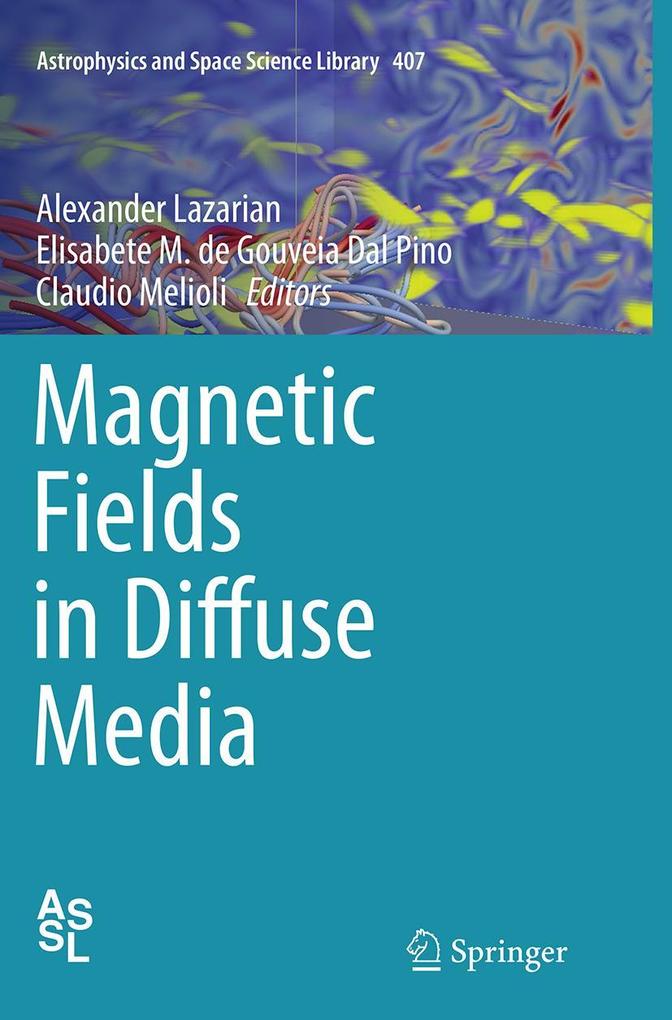 Produktbild: Magnetic Fields in Diffuse Media