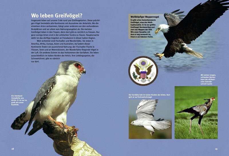 Weitere Ansicht: Entdecke die Greifvögel | Thomas Schmidt