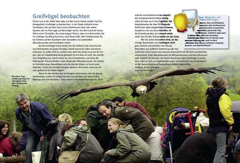 Weitere Ansicht: Entdecke die Greifvögel | Thomas Schmidt