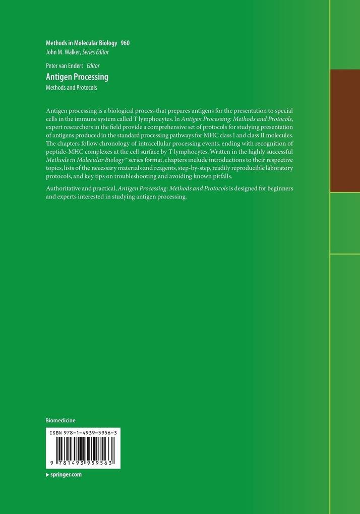 Weitere Ansicht: Antigen Processing