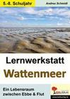 Lernwerkstatt Wattenmeer