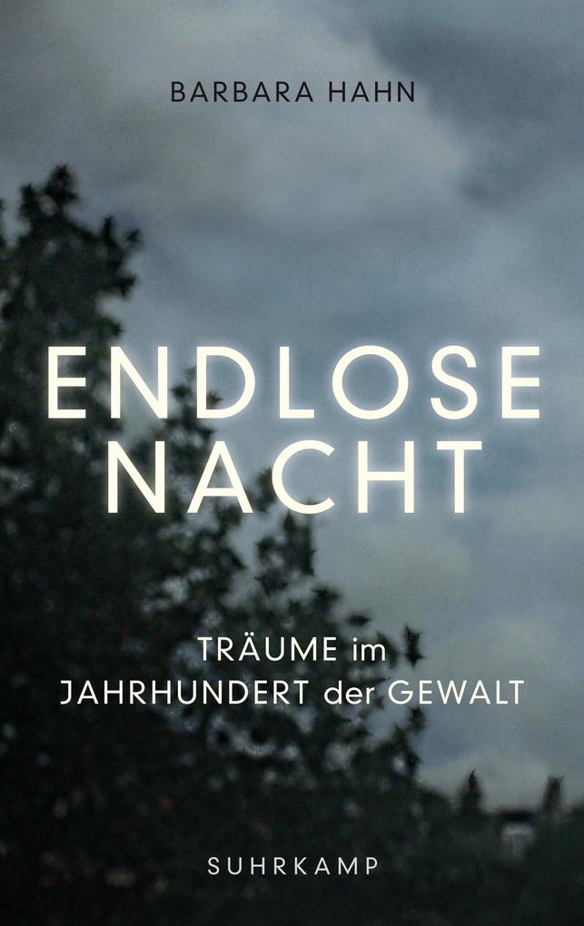 Produktbild: Endlose Nacht | Barbara Hahn