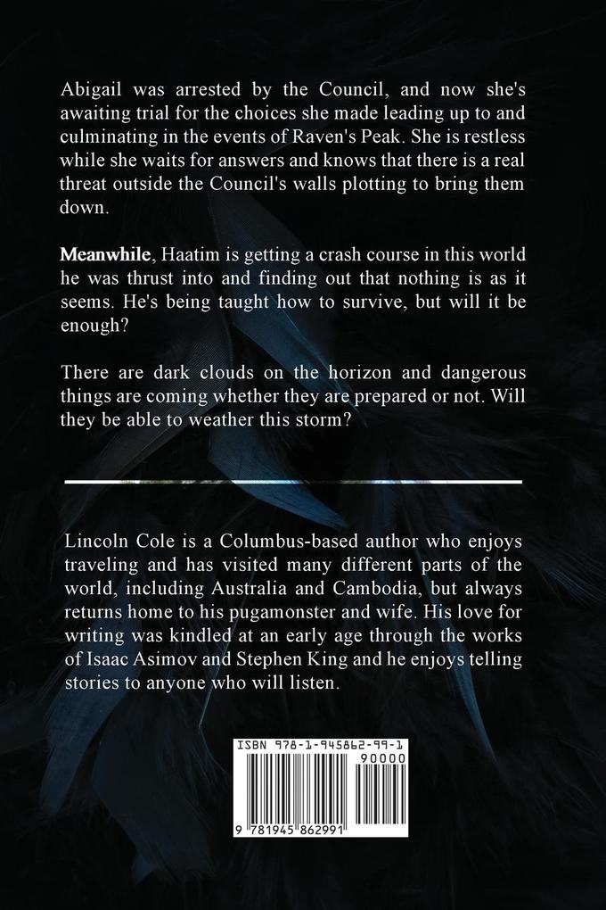 Weitere Ansicht: Raven's Fall | Lincoln Cole