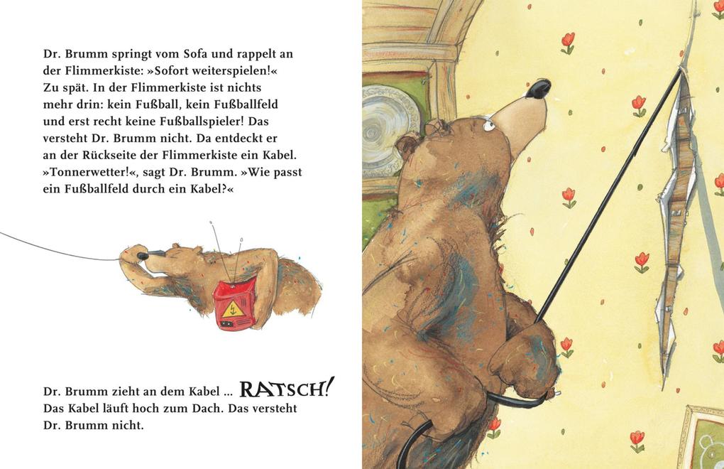 Weitere Ansicht: Dr. Brumm versteht das nicht | Daniel Napp
