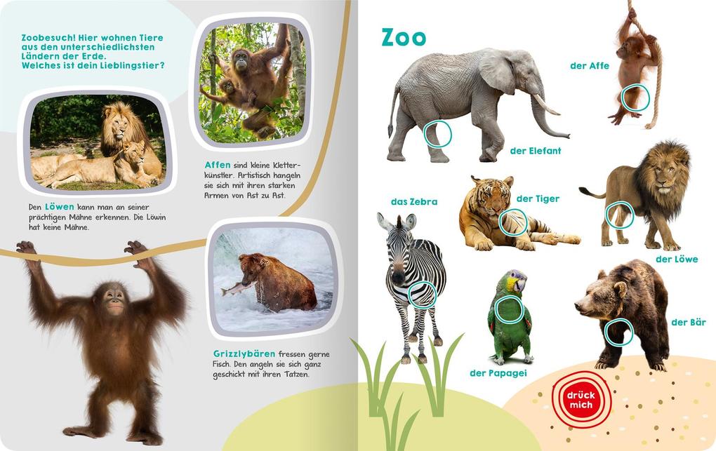 Weitere Ansicht: Mein großes Buch der Tiergeräusche