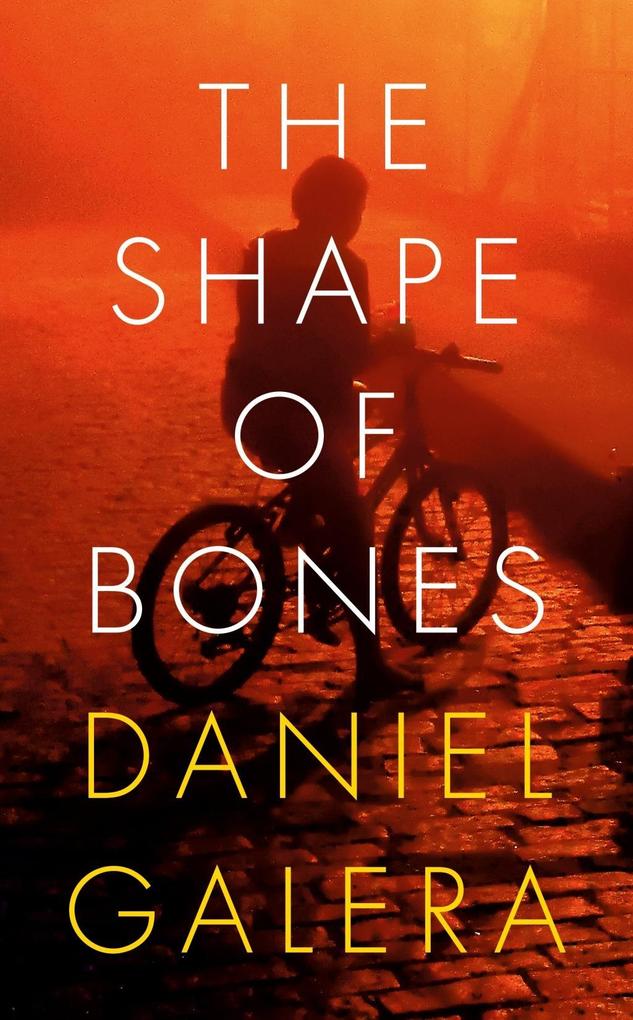 Produktbild: The Shape of Bones | Daniel Galera