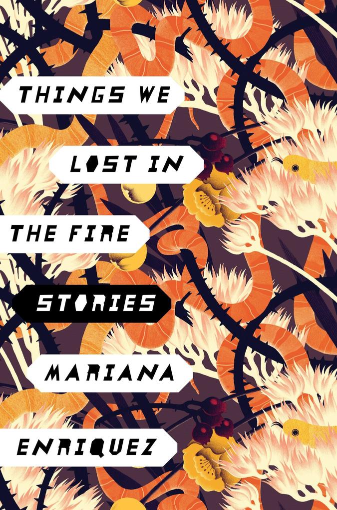 Produktbild: Things We Lost in the Fire: Stories | Mariana Enriquez