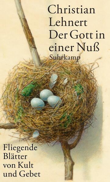 Produktbild: Der Gott in einer Nuß | Christian Lehnert