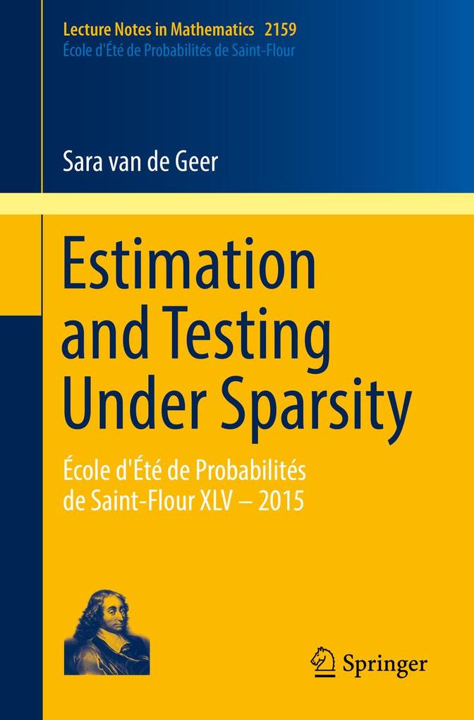 Produktbild: Estimation and Testing Under Sparsity | Sara van de Geer