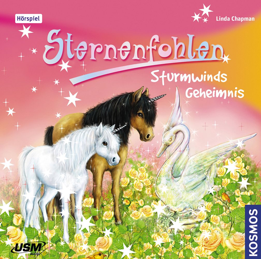 Produktbild: Sternenfohlen 08: Sturmwinds Geheimnis | Linda Chapman