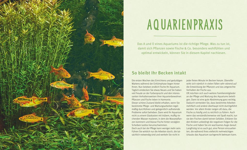 Weitere Ansicht: Das Aquarium | Axel Gutjahr