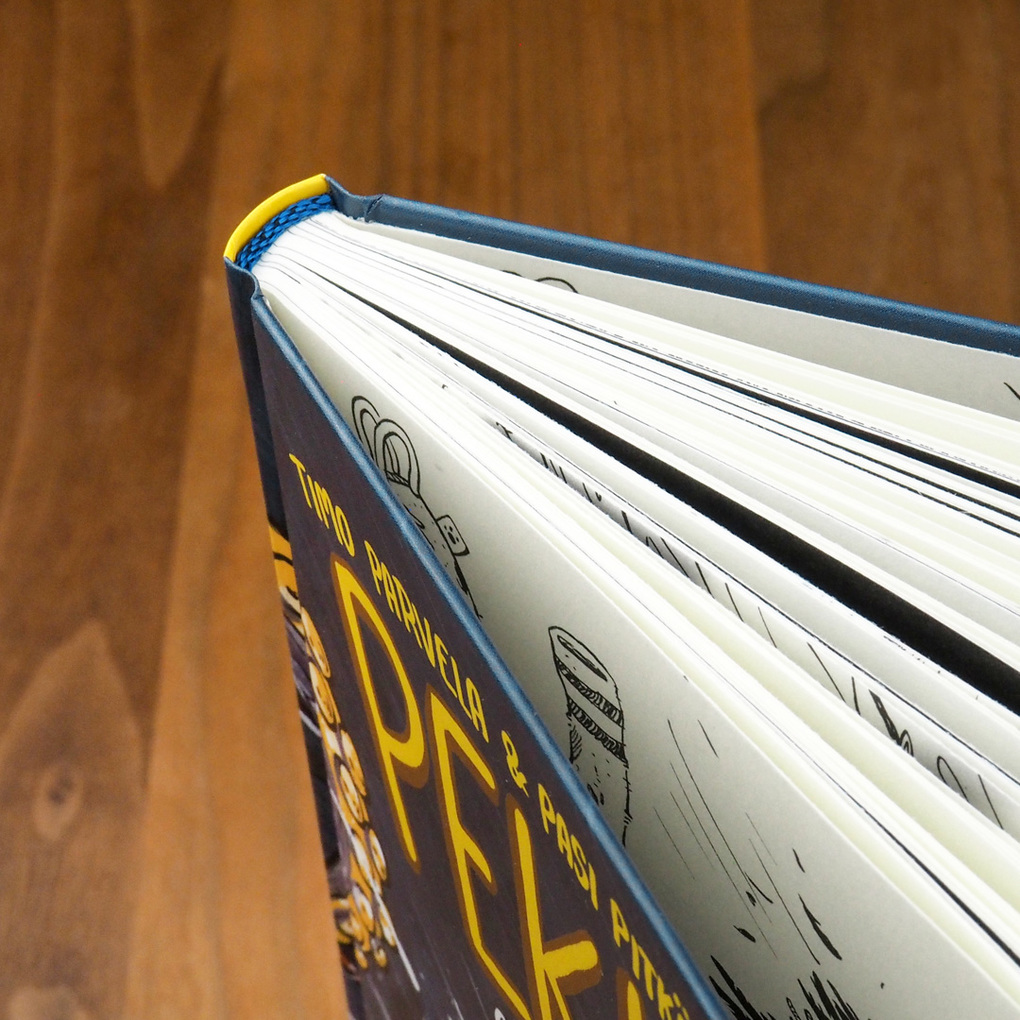 Weitere Ansicht: Pekkas geheime Aufzeichnungen - Der verrückte Angelausflug | Timo Parvela