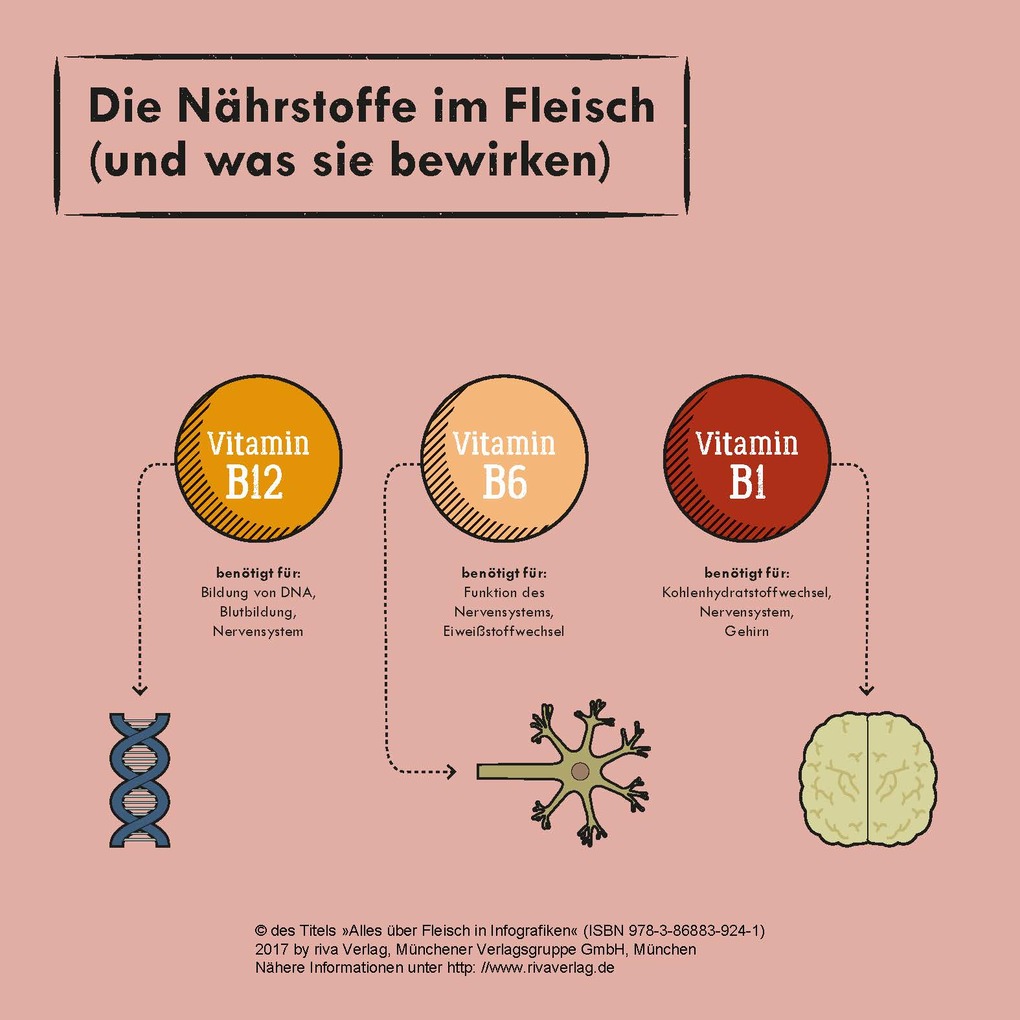 Weitere Ansicht: Alles über Fleisch in Infografiken | Daniel Wiechmann