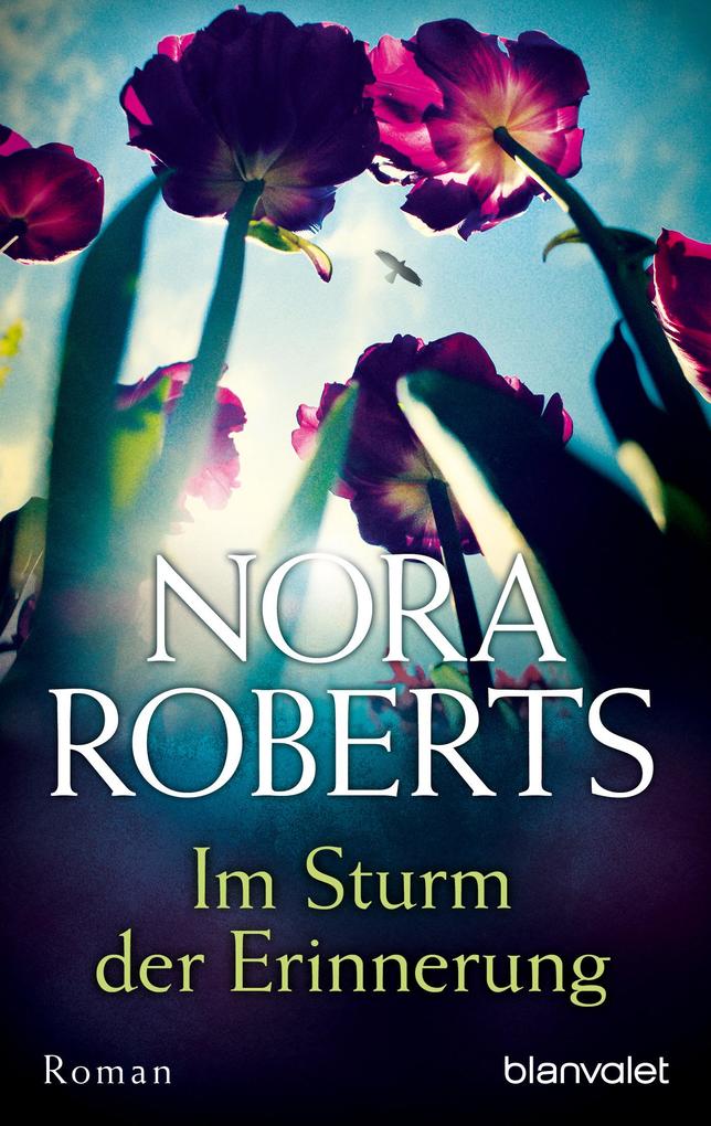 Produktbild: Im Sturm der Erinnerung | Nora Roberts