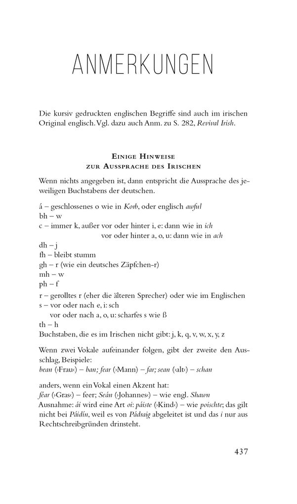 Weitere Ansicht: Grabgeflüster | Máirtín Ó Cadhain