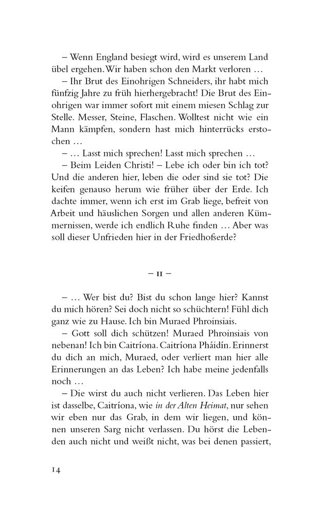 Weitere Ansicht: Grabgeflüster | Máirtín Ó Cadhain