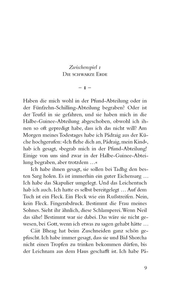 Weitere Ansicht: Grabgeflüster | Máirtín Ó Cadhain
