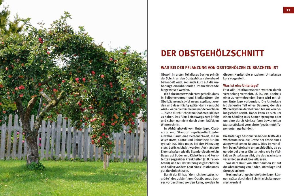 Weitere Ansicht: Hecken-, Strauch- und Obstbaumschnitt | Josef Vötsch, Wolfgang Weingerl