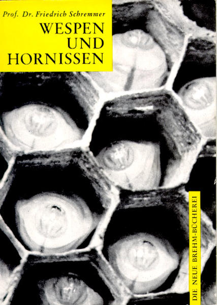 Produktbild: Wespen und Hornissen | Friedrich Schremmer