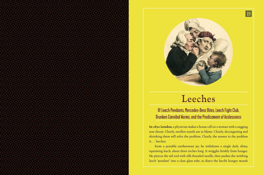Weitere Ansicht: Quackery | Lydia Kang, Nate Pedersen