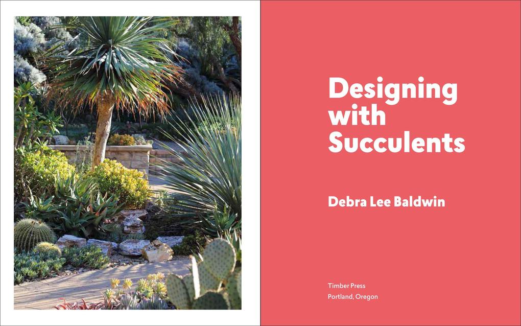 Weitere Ansicht: Designing with Succulents | Debra Lee Baldwin