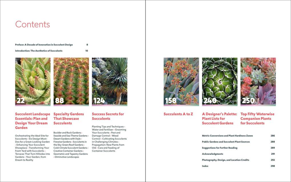 Weitere Ansicht: Designing with Succulents | Debra Lee Baldwin