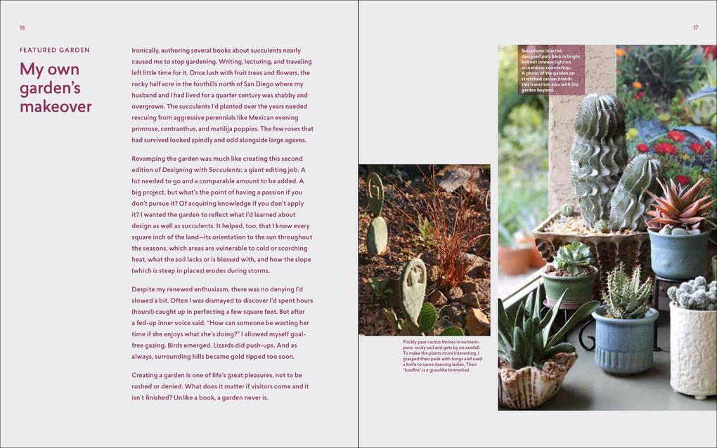 Weitere Ansicht: Designing with Succulents | Debra Lee Baldwin