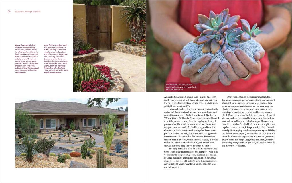 Weitere Ansicht: Designing with Succulents | Debra Lee Baldwin