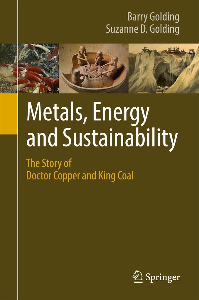 Produktbild: Metals, Energy and Sustainability | Suzanne D. Golding, Barry Golding