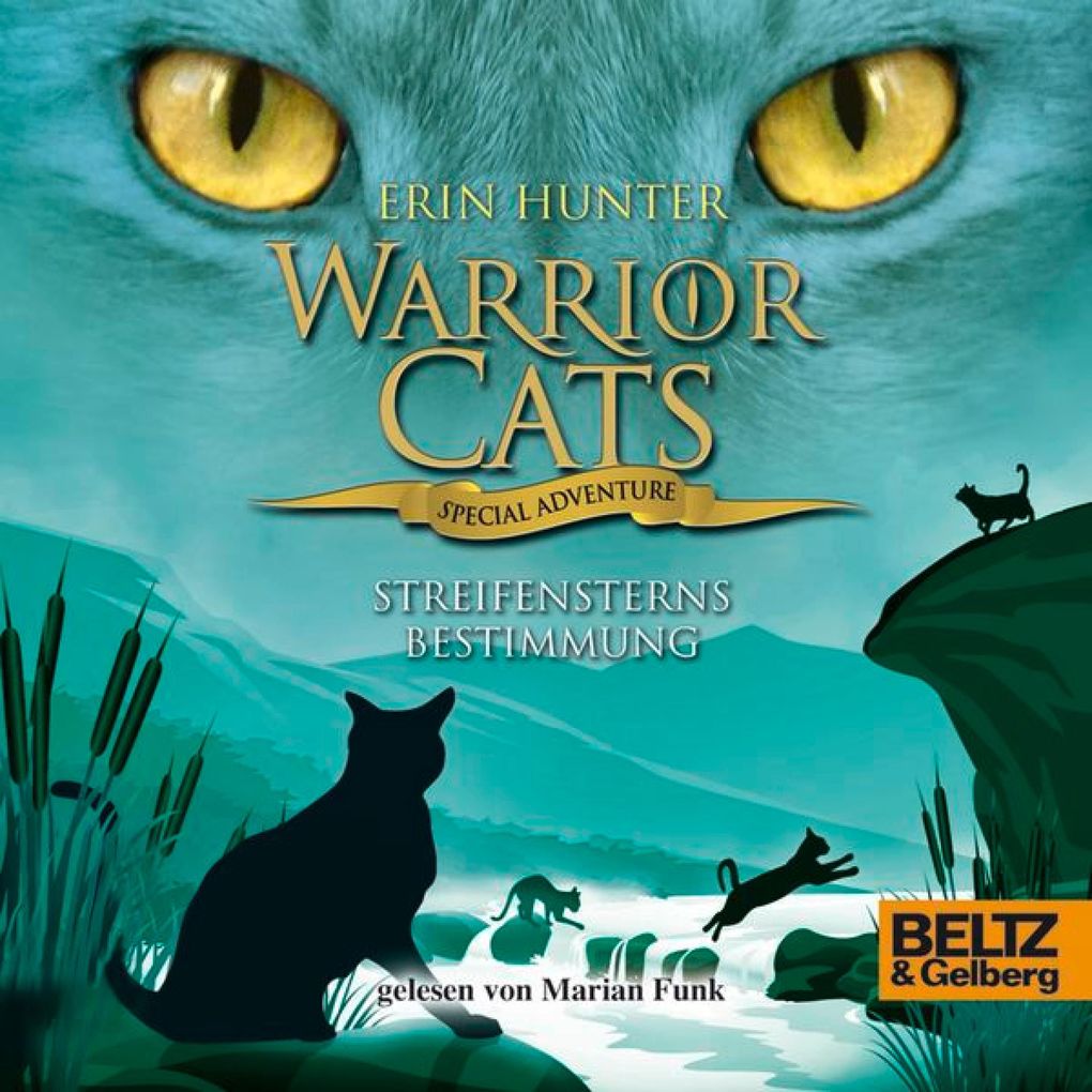 Produktbild: Warrior Cats - Special Adventure. Streifensterns Bestimmung | Erin Hunter, Warrior Cats