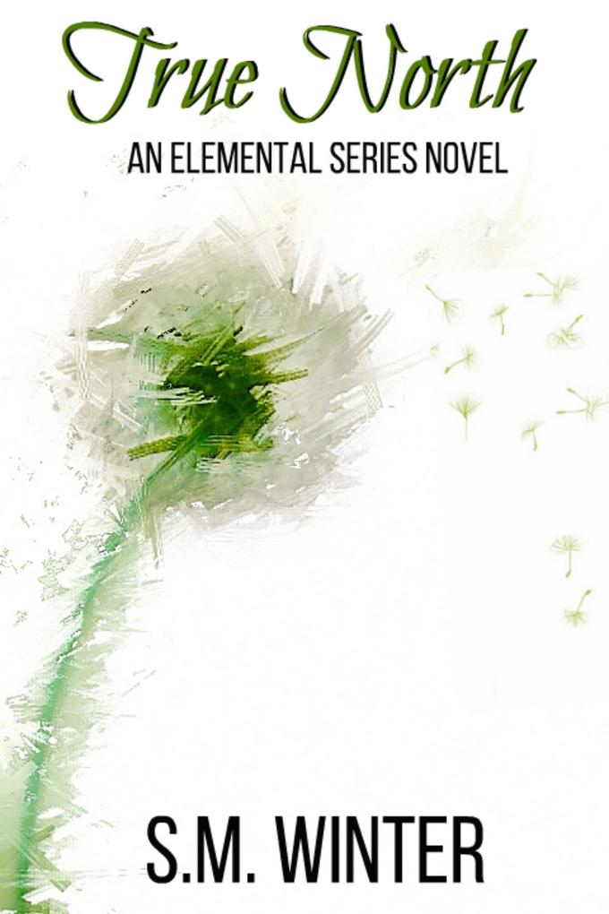 Produktbild: True North (Elemental, #1) | S. M. Winter