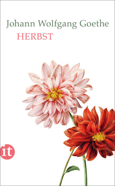 Produktbild: Herbst | Johann Wolfgang von Goethe