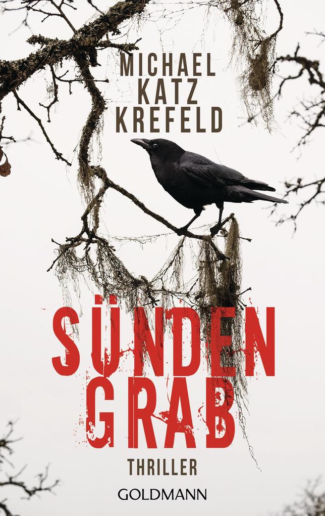 Produktbild: Sündengrab | Michael Katz Krefeld