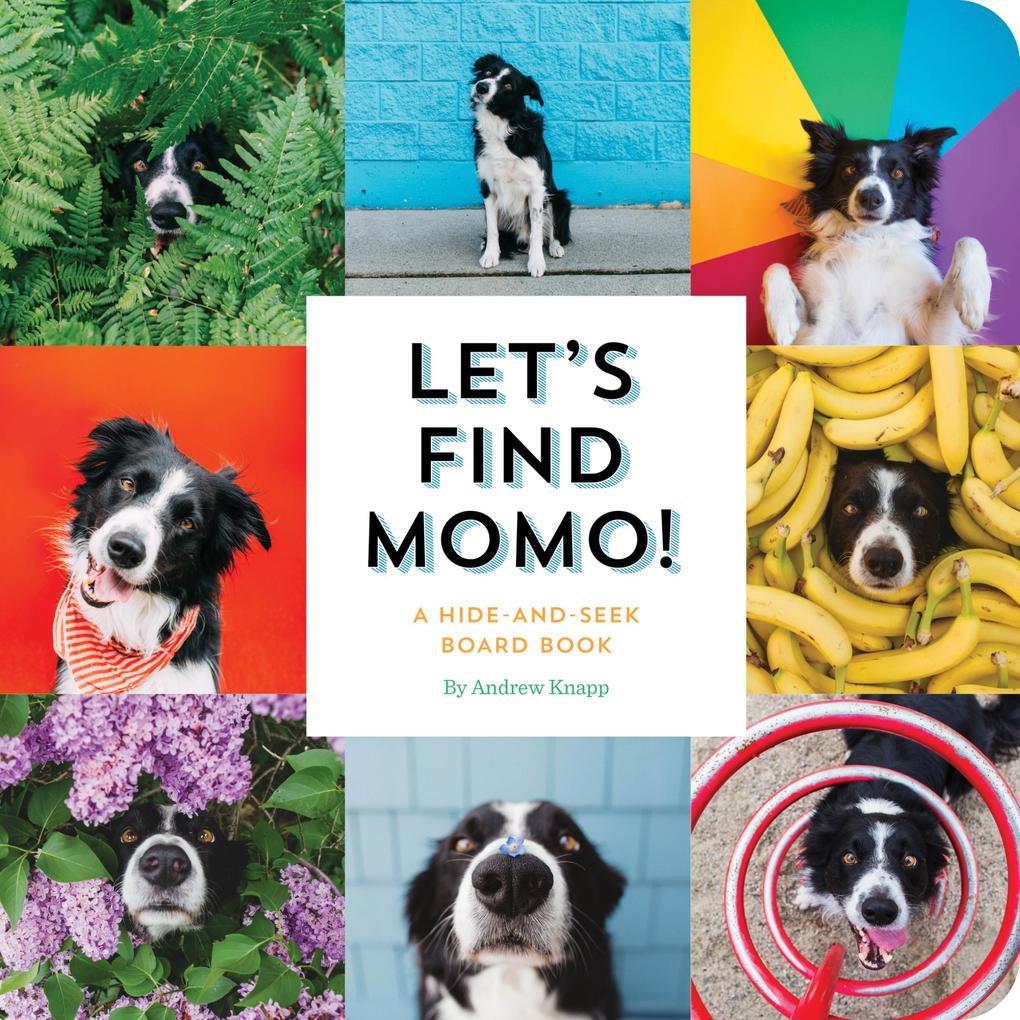 Produktbild: Let's Find Momo! | Andrew Knapp