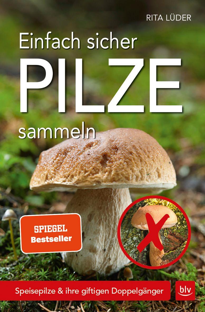 Produktbild: Einfach sicher Pilze sammeln | Rita Lüder