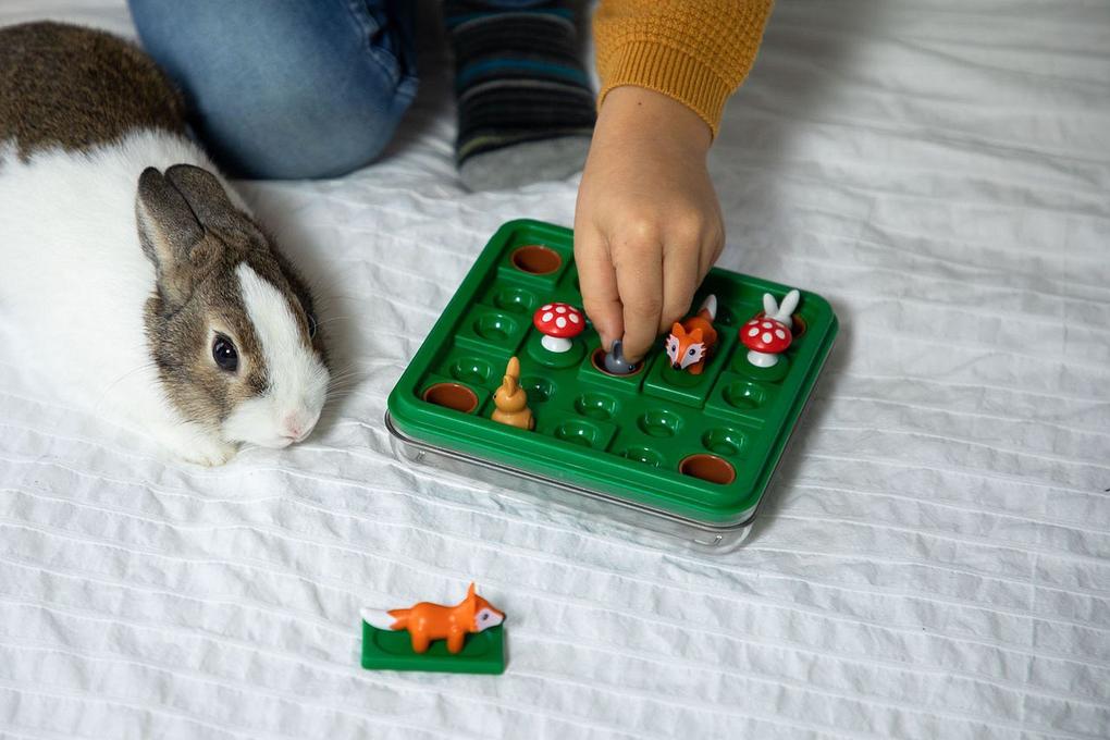 Weitere Ansicht: So hüpft der Hase