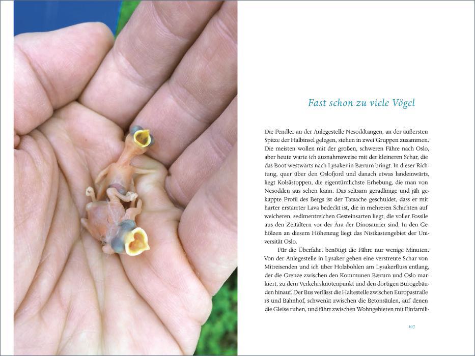 Weitere Ansicht: Das verborgene Leben der Meisen | Andreas Tjernshaugen