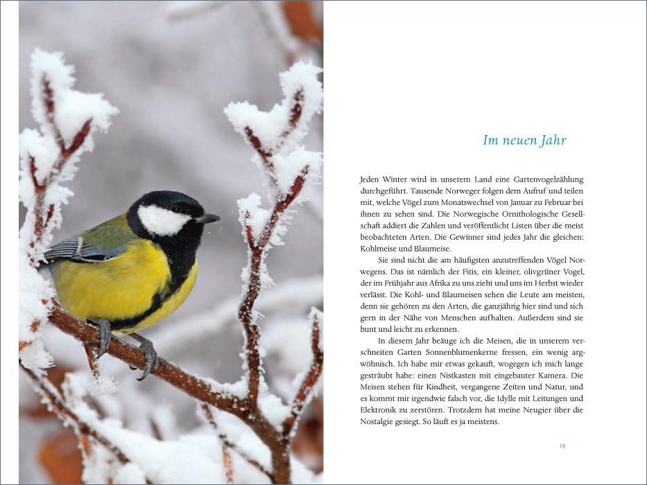 Weitere Ansicht: Das verborgene Leben der Meisen | Andreas Tjernshaugen