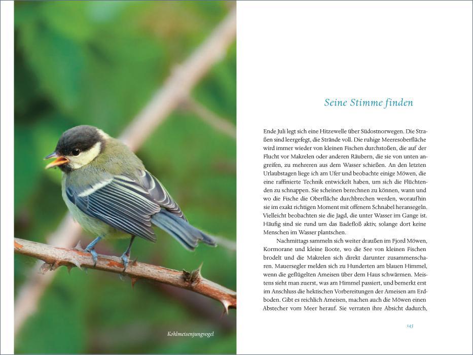 Weitere Ansicht: Das verborgene Leben der Meisen | Andreas Tjernshaugen