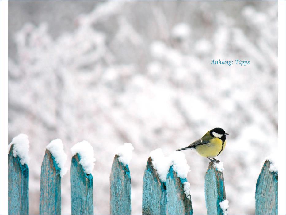 Weitere Ansicht: Das verborgene Leben der Meisen | Andreas Tjernshaugen