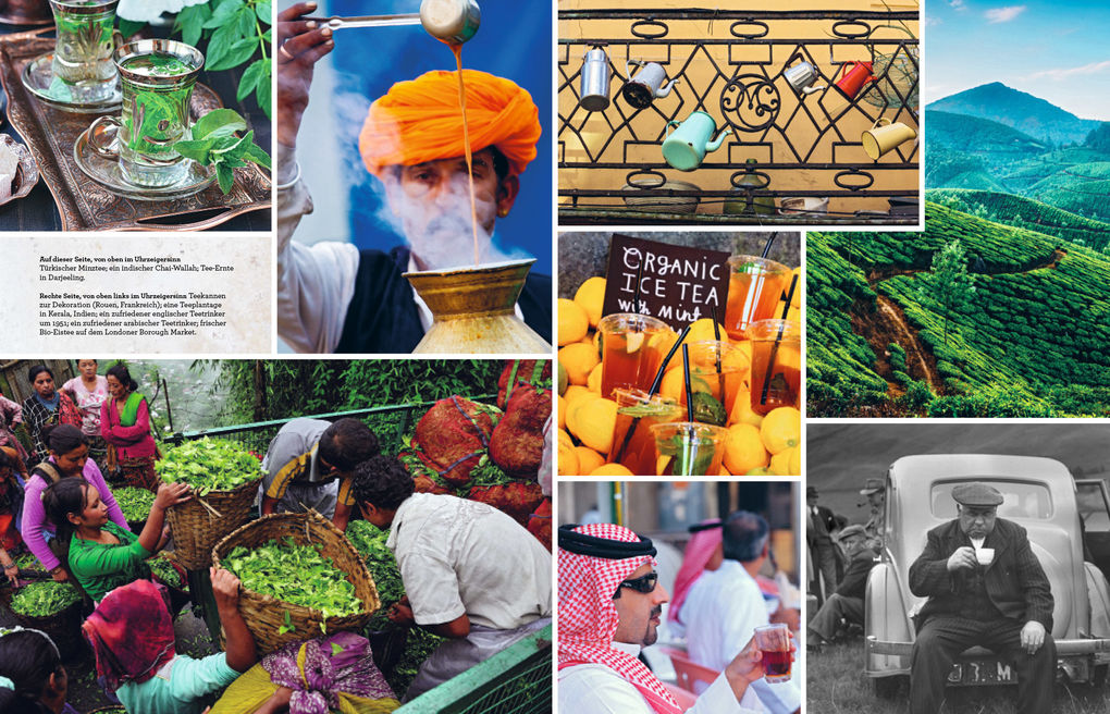 Weitere Ansicht: Tee | Louise Cheadle, Nick Kilby