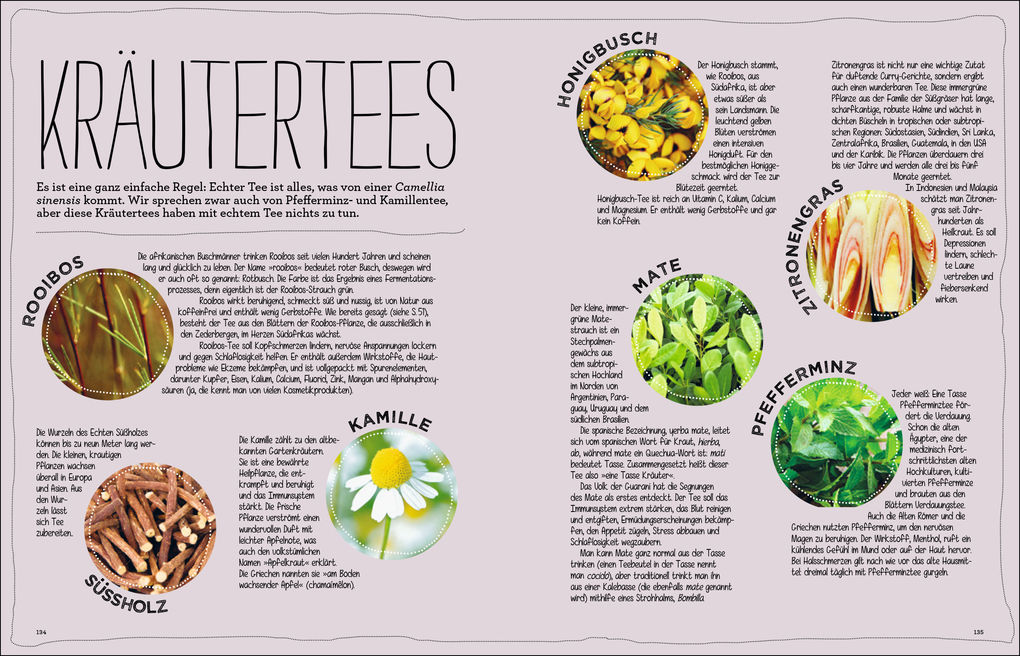 Weitere Ansicht: Tee | Louise Cheadle, Nick Kilby