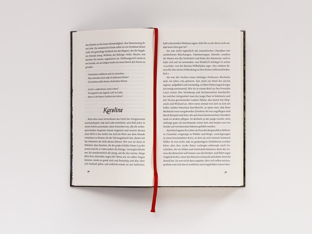 Weitere Ansicht: Die Romantik. Ausbreitung, Blütezeit und Verfall | Ricarda Huch