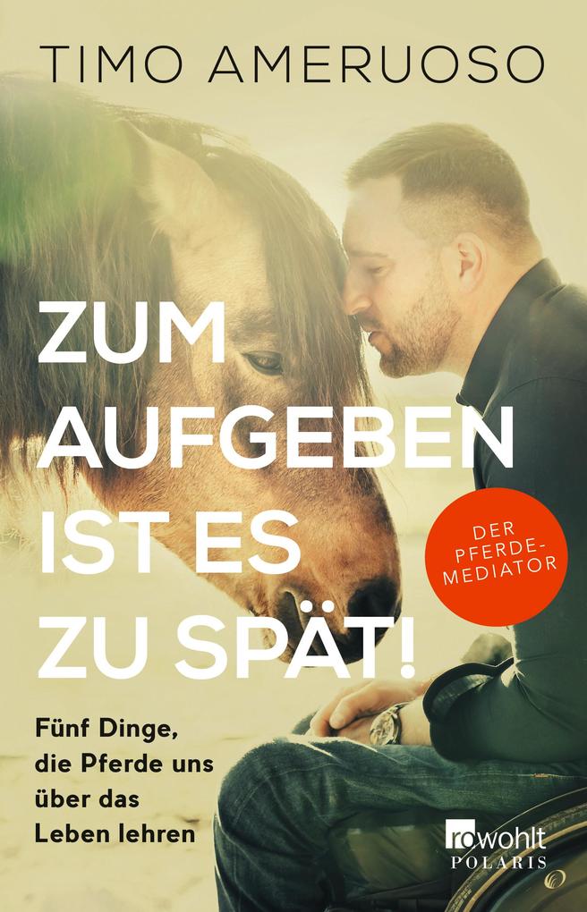 Produktbild: Zum Aufgeben ist es zu spät! | Timo Ameruoso