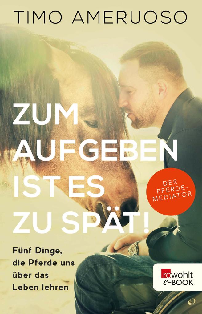 Produktbild: Zum Aufgeben ist es zu spät! | Timo Ameruoso